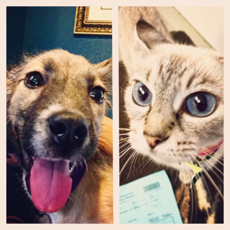 Newest Family Members