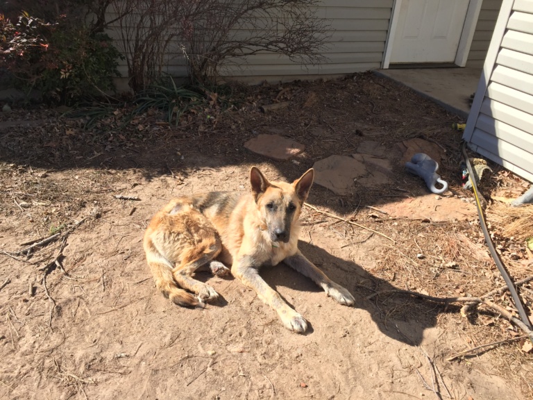 Valentine’s Day Present for Myself