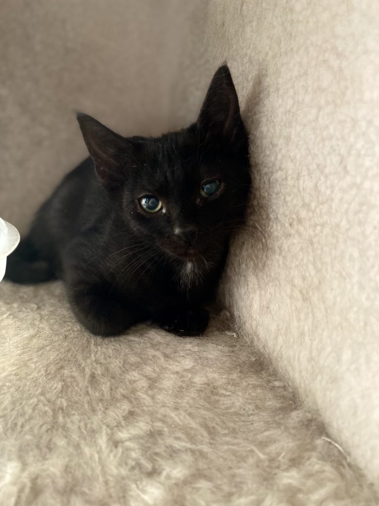 Welcome Home, Billy!